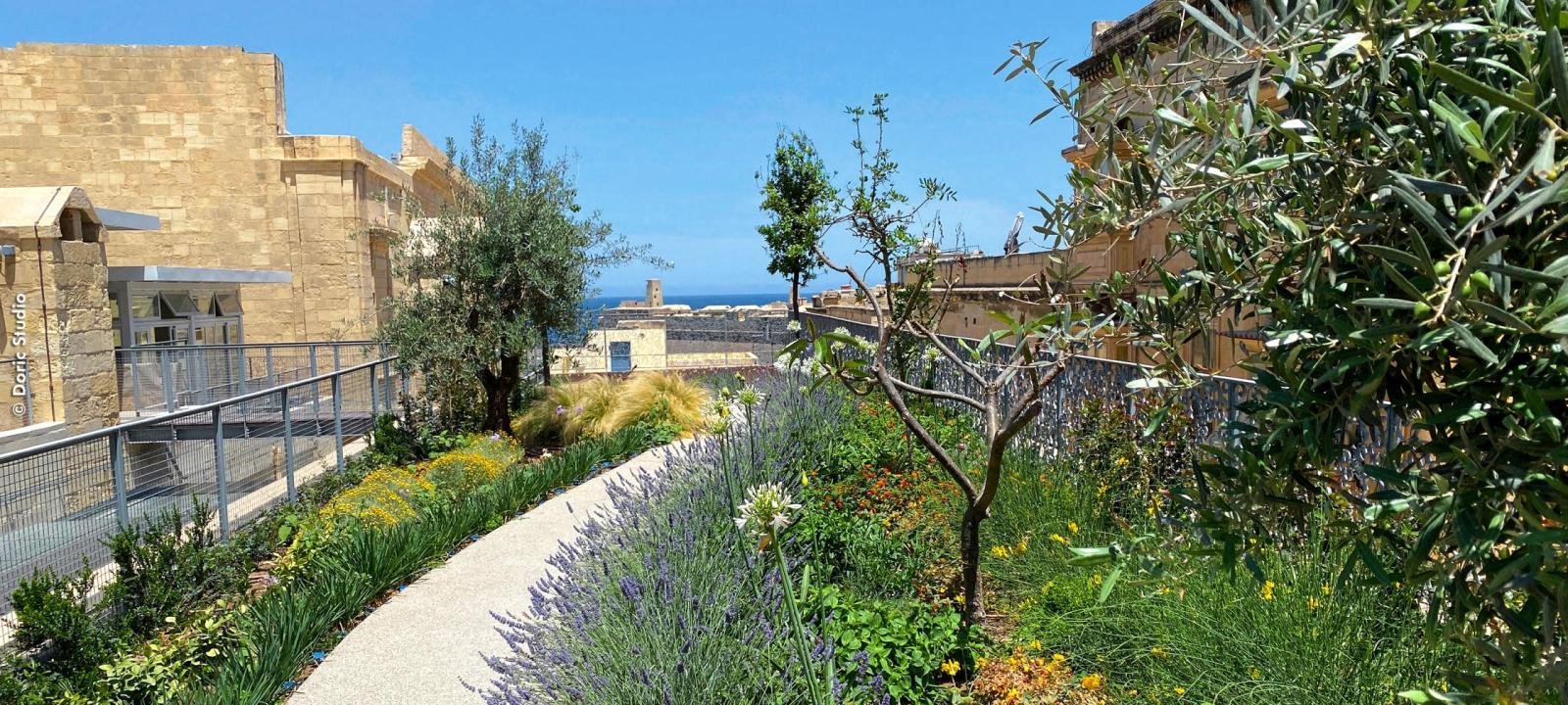 Mediterranean roof garden